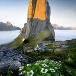 Sea & Aurora Views, New 1br Near Segla-hesten Apartamento Senja