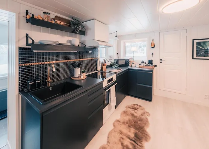 Sea & Aurora Views, New 1br Near Segla-hesten